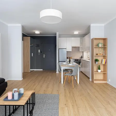 Ecru Spacious Modern With Skyline View Wwa13 公寓 华沙